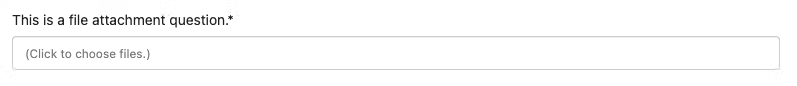 FileAttach2.jpeg